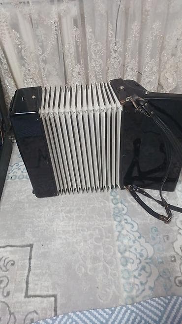 Аккордеон (клавишный баян) с кейсом - Клавиатура: фортепианная