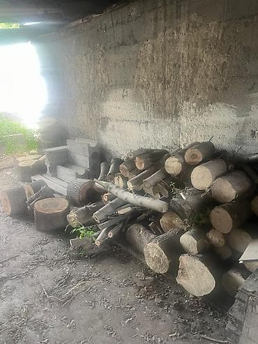 пеньки купить: Дрова Орех, Самовывоз — 1