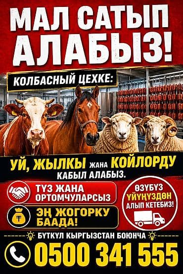 Колбасный цех : Лошади, кони, | На забой, на мясо
