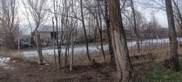 покупаю дом: 8 соток, Для сельского хозяйства, Красная книга — 6