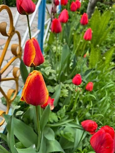 письменные столы бишкек: Самовывоз — 4