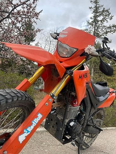 Эндуро Минск, 300 куб. см, Бензин, Взрослый