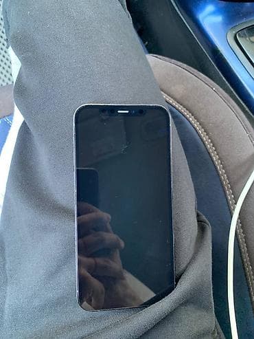 ipod touch: IPhone 12 Pro, 256 ГБ, Pacific Blue — 3