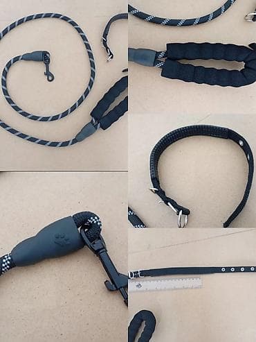 инкубатор курицы: Ошейник + шлейка, состояние новое, реальному покупателю доставлю по — 2