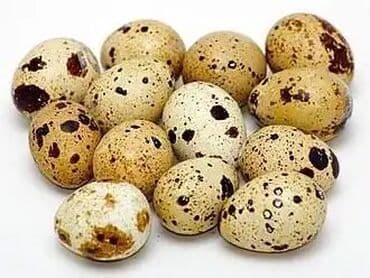 детские кровати для 2 детей: Перепелиные яйца - Натуральные, с характерной крапчатой скорлупой. - — 1