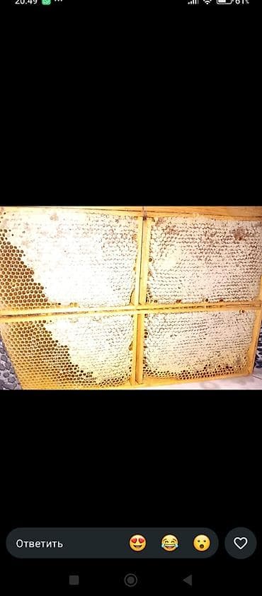 Дом и сад: Сотовый мёд в рамках - Натуральный мёд прямо в запечатанных сотах — 1