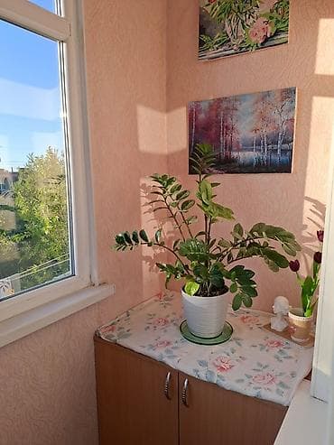 квартира бишкек комната: 3 бөлмө, 59 м², 104-серия, 4 кабат, Косметикалык ремонт — 4