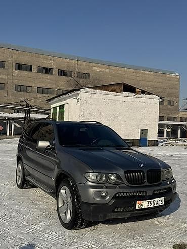 185 75 16 сешка: BMW X5: 2002 г., 3 л, Автомат, Дизель, Кроссовер — 2