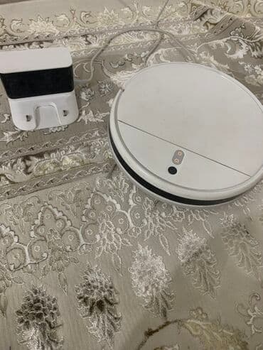 купить зарядное устройство для автомобильного аккумулятора: Робот-чаң соргуч Кургак, Расписание менен тазалоо — 1