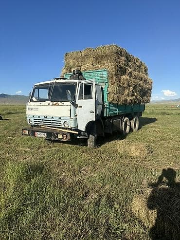 КАМАЗ-самосвал с тентованными бортами для перевозки сена и — 3