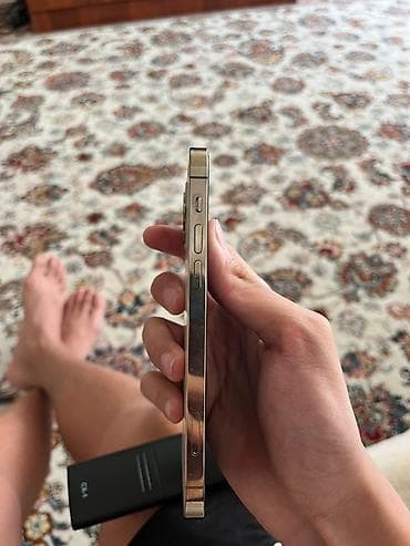 13 mini: IPhone 12 Pro, Б/у, 256 ГБ, Золотой, Зарядное устройство, Чехол, Кабель, 74 % — 5