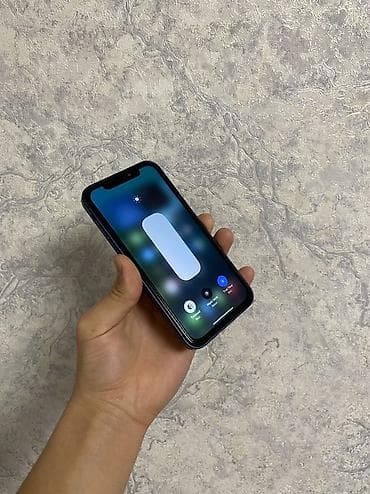 Уюлдук телефондор үчүн аксессуарлар: IPhone Xr, Колдонулган, 256 ГБ, Көк, Коргоочу айнек, 100 % — 2