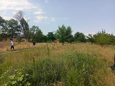 участок в ивановке: 8 соток, Для строительства, Красная книга — 1