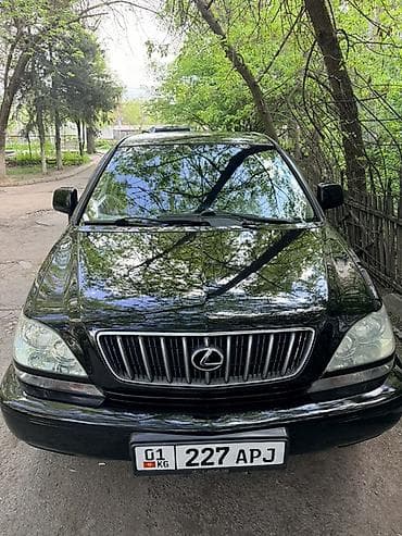 Lexus RX: 2003 г., 3 л, Автомат, Бензин, Кроссовер