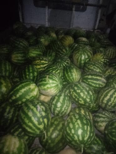прием клубники: Арбузы Оптом — 4
