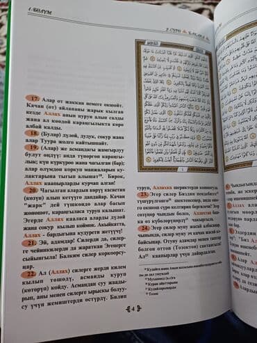 Кислородные концентраторы: ЫЙЫК КУРАН 4 ОНУ БАР. ОПТОМ АЛУУЧУЛАРГА АРЗАНДАТУУ БОЛОТ. КЫРГЫЗСТАН — 5