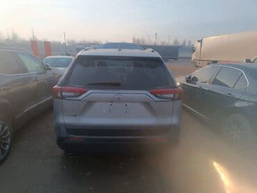 белый byd e5: Toyota RAV4: 2024 г., 2.5 л, Автомат, Бензин, Внедорожник — 5