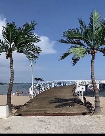 модульный жом: Сдается в Palm beach Дом с террасой, - Планировка: просторная — 7