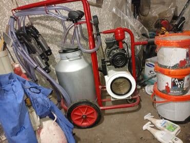 козу сатылат бишкек: Передвижной доильный аппарат на тележке - Тип: электрический — 1