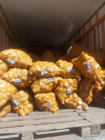 ак кой: Картошка Джелли — 1