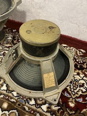 ear pods: Акустические динамики и рупоры (набор) Состав: ТОП КОЛОНКА ДИНАМИКТЕР — 4