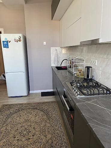 flat kant: 2 комнаты, Риэлтор, Без подселения, С мебелью полностью — 6