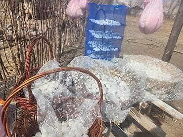 дробленная кукуруза: Курут (сушёные кисломолочные шарики) - Традиционный кисломолочный — 2