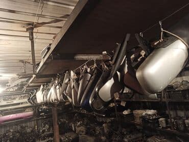 грация: Заднего вида Зеркало Toyota Б/у, Оригинал — 2