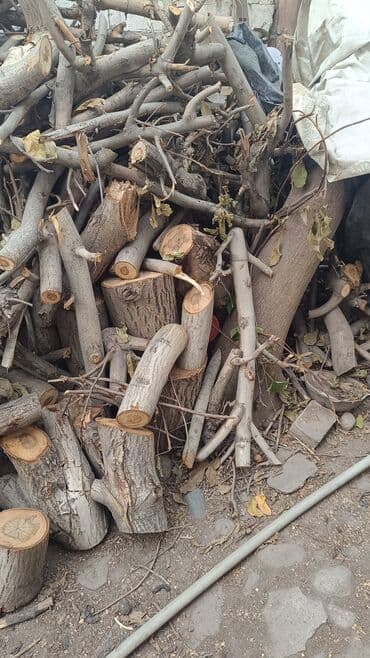 Дрова Орех, Самовывоз