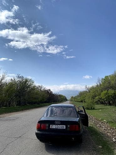 Транспорт: Audi 100: 1993 г., Седан — 5