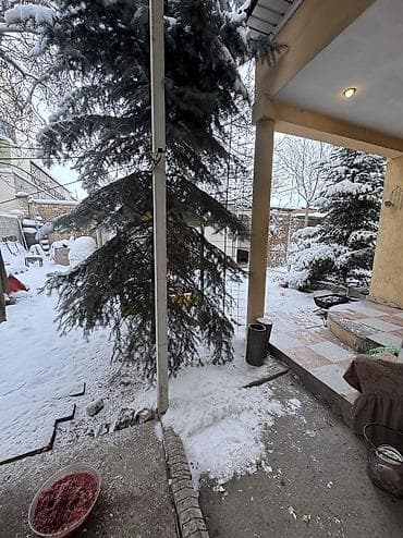 белорусская: Продается хороший дом 80м2 в районе 4 мкр Ахунбаева белорусская — 4