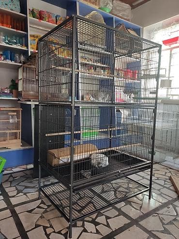 Үй жаныбарлары: Клетки для крупных, средних и мелких попугаев! — 5