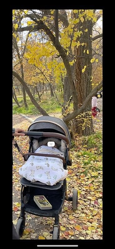 польские коляски 3 в 1: Прогулочная коляска для города и парков. - Легкая и маневренная рама — 1