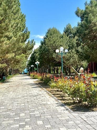 иссык кул: ⸻ ПРОДАЕТСЯ КОТТЕДЖ на Иссык-Куле, пансионат «Евразия» село Кара-Ой — 4