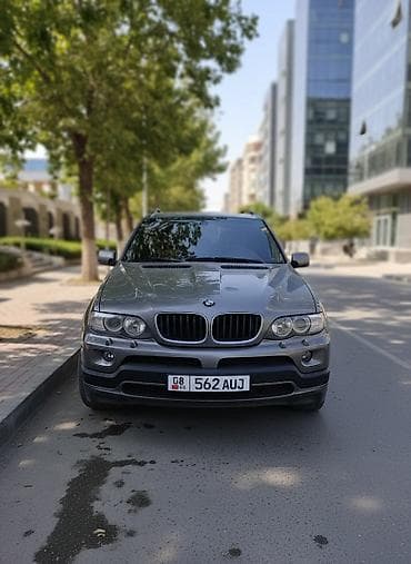 BMW X5: 2005 г., 4.8 л, Автомат, Бензин, Кроссовер