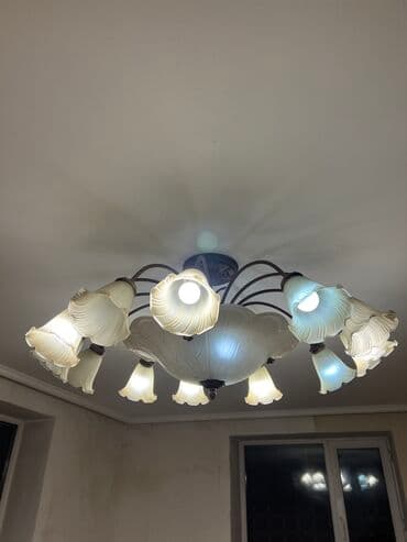 кухонные люстры: Люстра потолочная . Большая люстра двойное освещение, 12 маленьких — 1