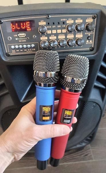 Аренда автономной караоке-колонки, Блютуз-колонки