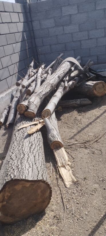 ХДФ: Жангак кесилген даяр сатылат — 1