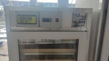 купить несушек курей: Инкубатор для яиц 220в. 2 больших шкафа . основной и — 8