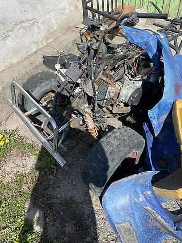 мото пластик: Квадроцикл Бензин, 350 куб. см, Взрослый — 2