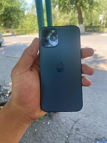 IPhone 12 Pro, Графит