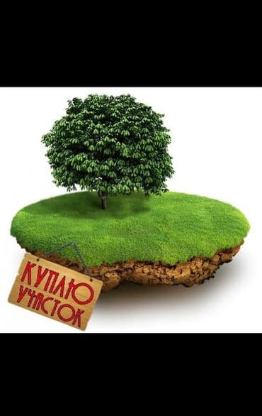 независимый оценщик недвижимости: 2 соток, Кызыл китеп — 1