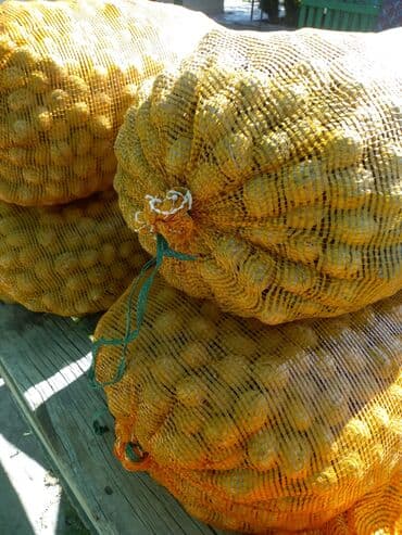 уголь кара кече бишкек цена: Орехи грецкие — 4