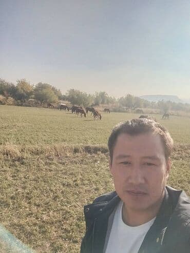 продаю связи с переездом: Студия — 6