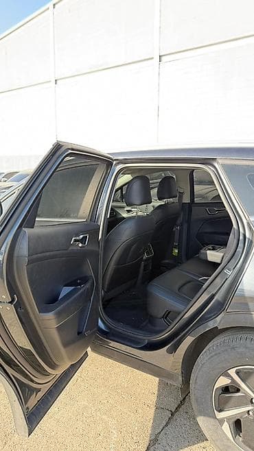 amg gt: Kia Sportage: 2023 г., Кроссовер — 10