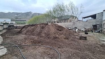 стол с зонтом: Перегной для сада и огорода. Навоз. Самовывоз. Цена договорная — 2