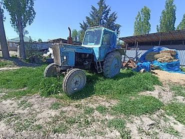 Трактор МТЗ-80 «Беларус» вместе с плугом обмен на легковой и скот