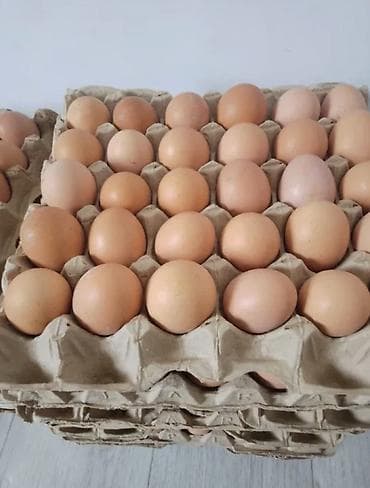 Жумурткалар: Прадаю домашние 🥚яйца штука 7 сом 30 штук 220 сом — 1
