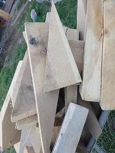 Хвоя at lalafo.kg Хвоя