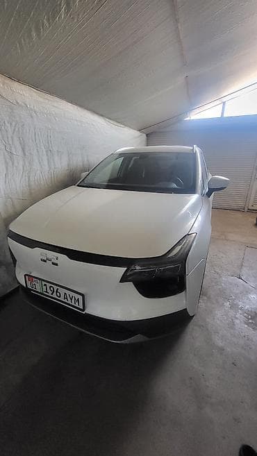 BYD : 2022 г., Автомат, Электромобиль, Кроссовер